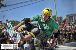 Tony hawk, Andy Macdonald, and other professional skateboarders at the ann arbor skatepark grand opening in ann arbor, michigan